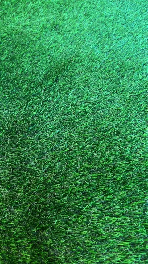 Pasto sintético